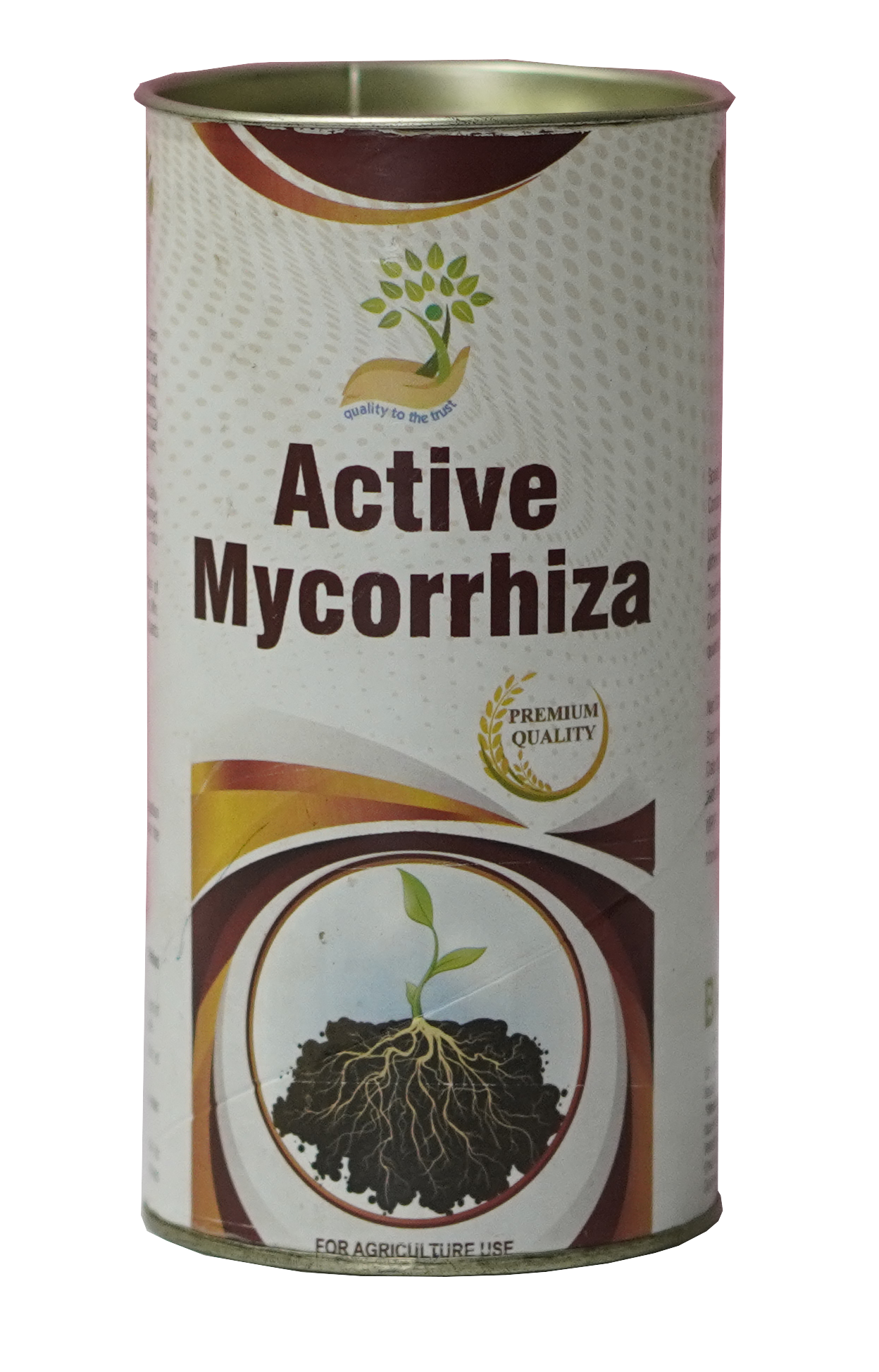 Mycorhiza 